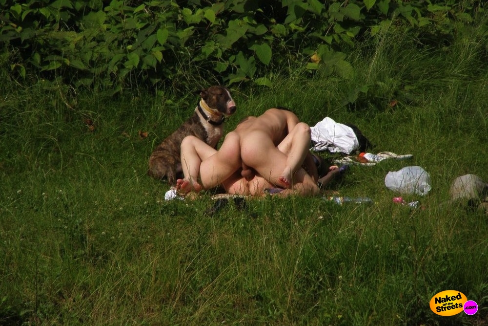Couple caught fucking outdoor while dog watches image Couple caught fucking outdoor while dog watches