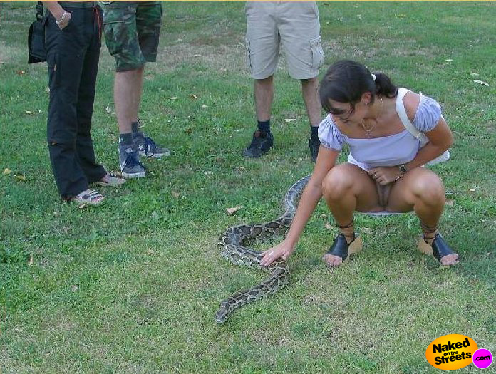 Oops! Remember, never forget your underwear when you're petting a python!
