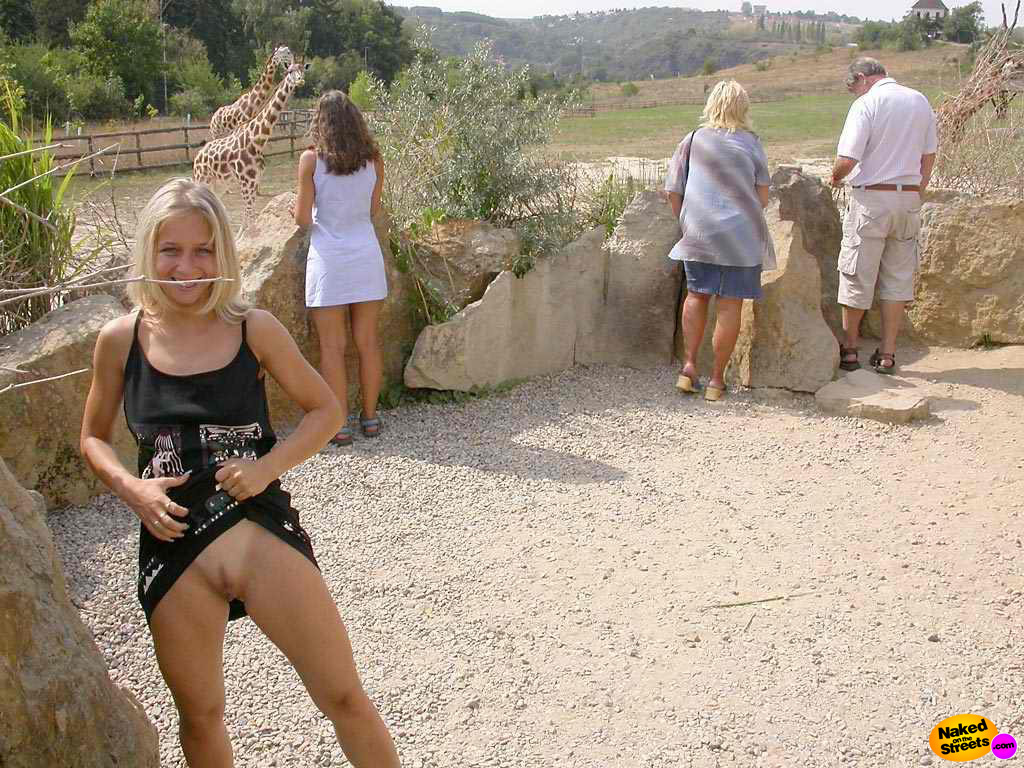 Hot young blonde girl flashing her pussy with some giraffes in the background
