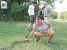 Crazy hot chick shows her snatch while petting a snake