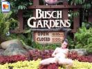 Kinky girl shows her snatch at Busch Gardens 