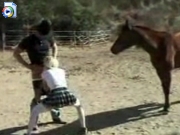 Jealous horse watches blowjob