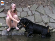 Girl flashing pussy for the dog