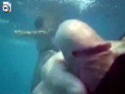 Guy jerking off underwater to girls in bikini