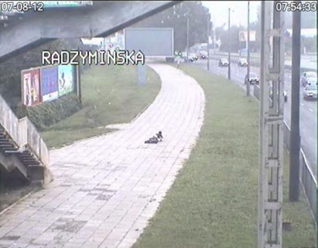 Insanely kinky couple caught having sex in broad daylight