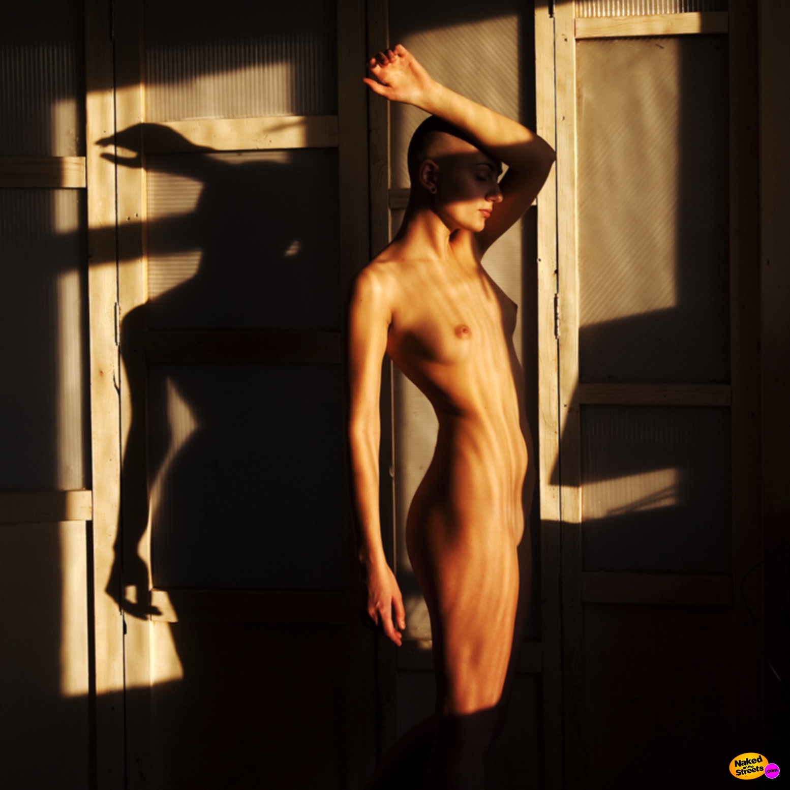 Arty nude