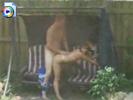 Amateur couple fucking in back yard