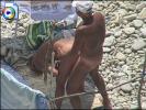 Kinky couple get nasty on a public beach