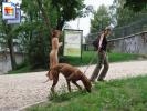 Red shoe hottie walks around naked in a park (Galleries)