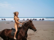 Girls love horses (Galleries)