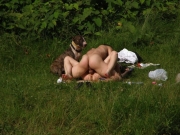 Couple caught fucking outdoor while dog watches (Galleries)