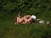 Couple caught fucking outdoor while dog watches (Galleries)