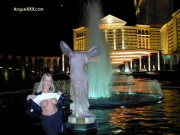 What happens in Vegas... (Galleries)