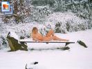 This ho in the snow is a celebration for my new snowboard-purchase  (Galleries)